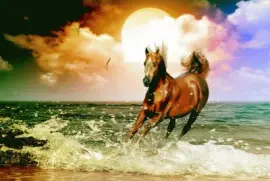 hermoso porte de corcel