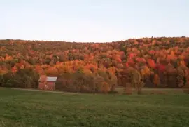 Pennsylvania turning