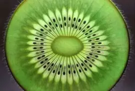 פאזל של kiwi