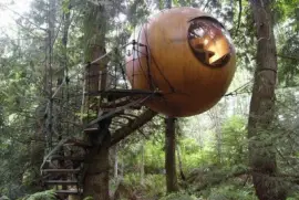 פאזל של tree house b b