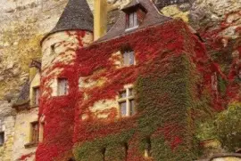 cliffside French castle