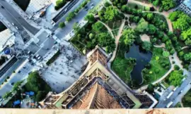 dizzie-4 jigsaw puzzle