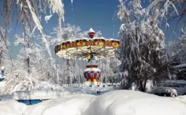 winter grip-5 jigsaw puzzle