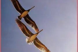 sync-9 jigsaw puzzle