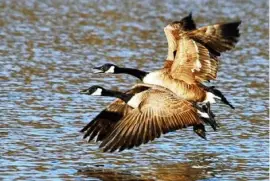 take off-10 jigsaw puzzle