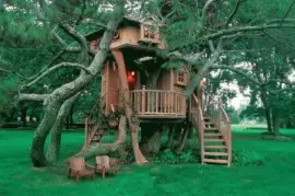 FaraÃ³n jigsaw puzzle