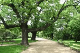 FaraÃ³n jigsaw puzzle