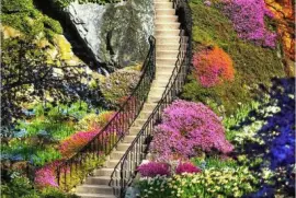 flowery steps