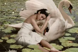 פאזל של Sonhos e devaneios