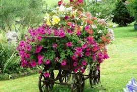 פאזל של Floreira