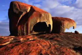 Ilha do Canguru - Australia