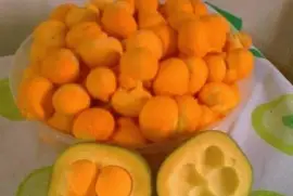 Pequi do Serrado brasileiro