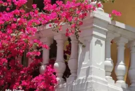 Primavera na varanda