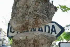 פאזל של growth-21