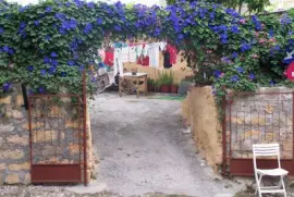 Flowers in Rhodes City  Greece