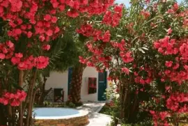 Amorgos Garden Rhodes  Greece
