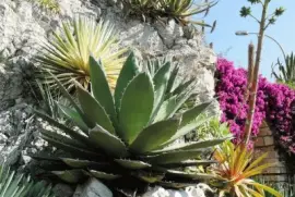 פאזל של Botanical Garden  Italy