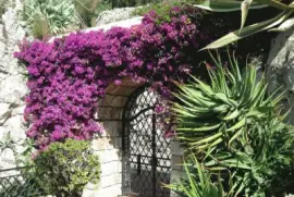 פאזל של Flower Riviera  Italy