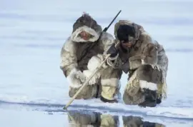 Inuits Fishing for Food