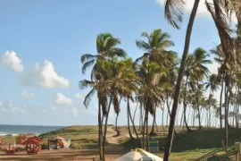 Jardim de Alah jigsaw puzzle