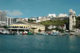 Salvador jigsaw puzzle