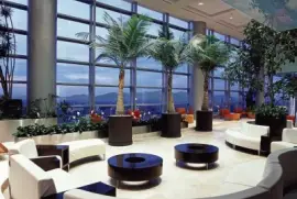 פאזל של FaraÃ³n