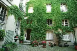 פאזל של FaraÃ³n