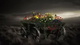 Flower Cart