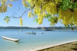 BaÃ­a de Todos os Santos