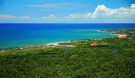 Mata AtlÃ¢ntica - Bahia