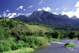 Mata AtlÃ¢ntica - Bahia