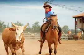 tiro de laÃ§o jigsaw puzzle