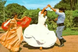 danÃ§a tradicionalista jigsaw puzzle