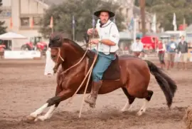 freio de ouro jigsaw puzzle