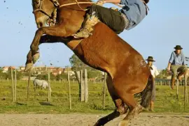 gineteada 2 jigsaw puzzle