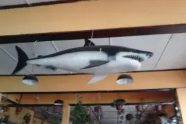 p14-12-13-1257{01}jpg