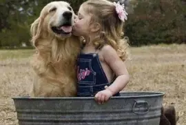 - amigos para sempre jigsaw puzzle