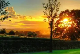 - linda,, jigsaw puzzle