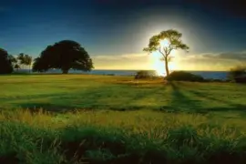 - linda,,,, jigsaw puzzle