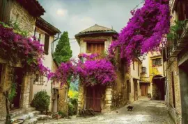 - I colori della Provenza,(FranÃ§a)