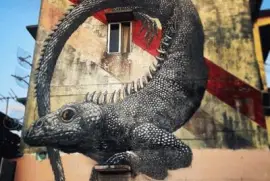 Lagarto jigsaw puzzle