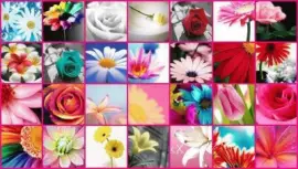 FaraÃ³n jigsaw puzzle