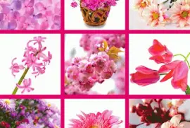 פאזל של FaraÃ³n