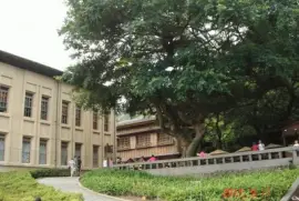 é‡‘ç“œçŸ³