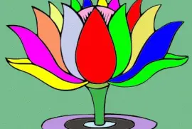 LÃ­rio d 'Ã¡gua Colorido