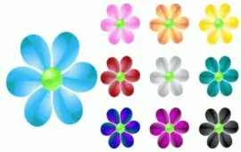 Flores