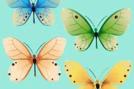 Borboletas