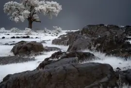 - paisagem,(a) jigsaw puzzle