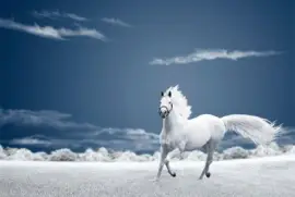 - pintura,(a) jigsaw puzzle