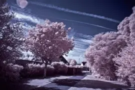 - paisagem,(e) jigsaw puzzle